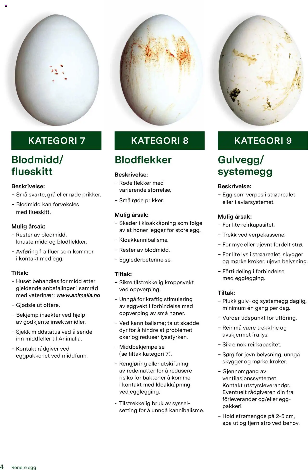  | Side: 4 | Produkter: Kontakt, Egg, Lys