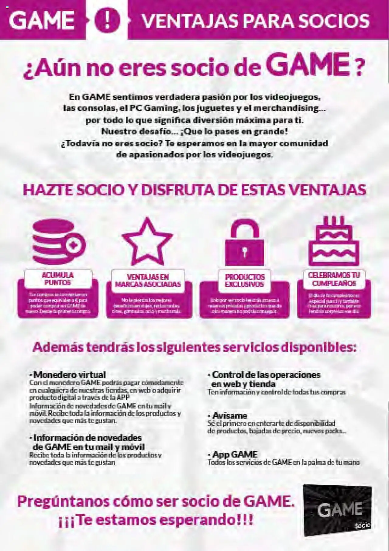 Game - Folleto │ válido desde el 20.05.2025 | Página: 2 | Productos: Té, PC, Juguetes