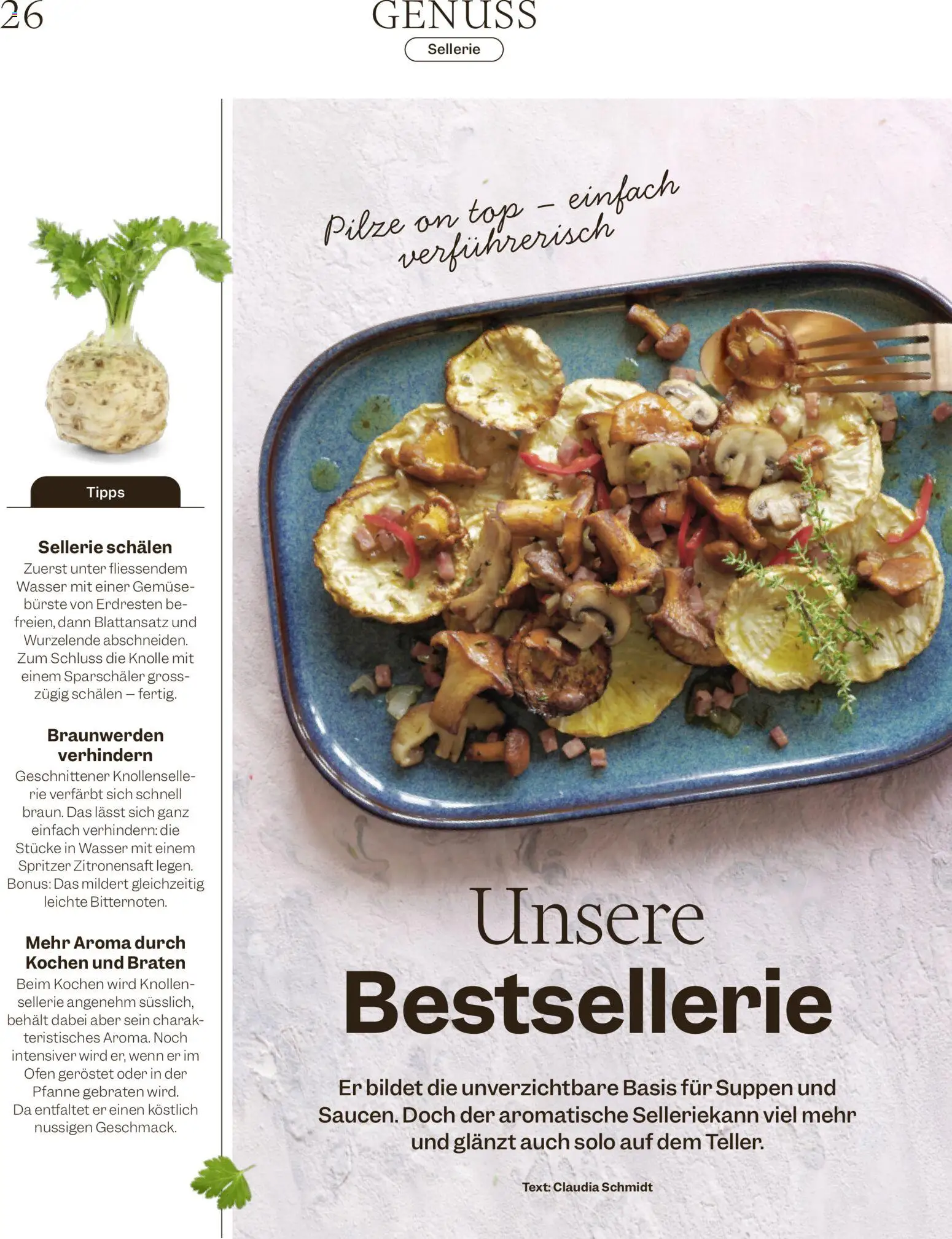 Migros - Magazin – gültig ab 05.01.2026 | Seite: 26 | Produkte: Bürste, Wasser, Top, Ofen