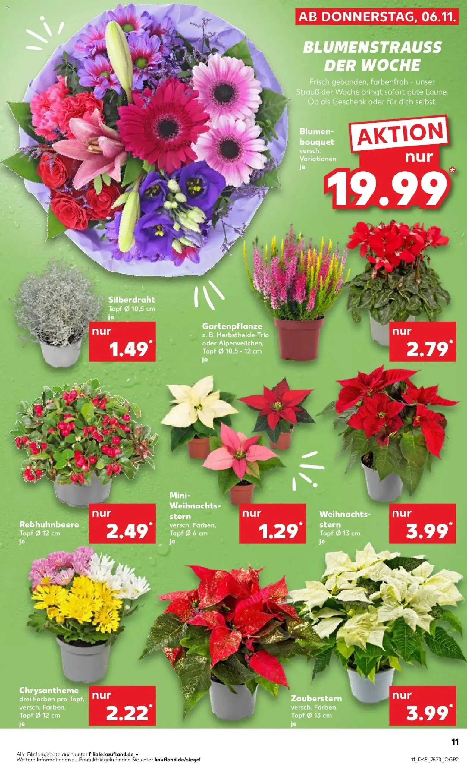 Kaufland prospekt Alsdorf	 – gültig ab 10.11.2025 | Seite: 11 | Produkte: Blumen