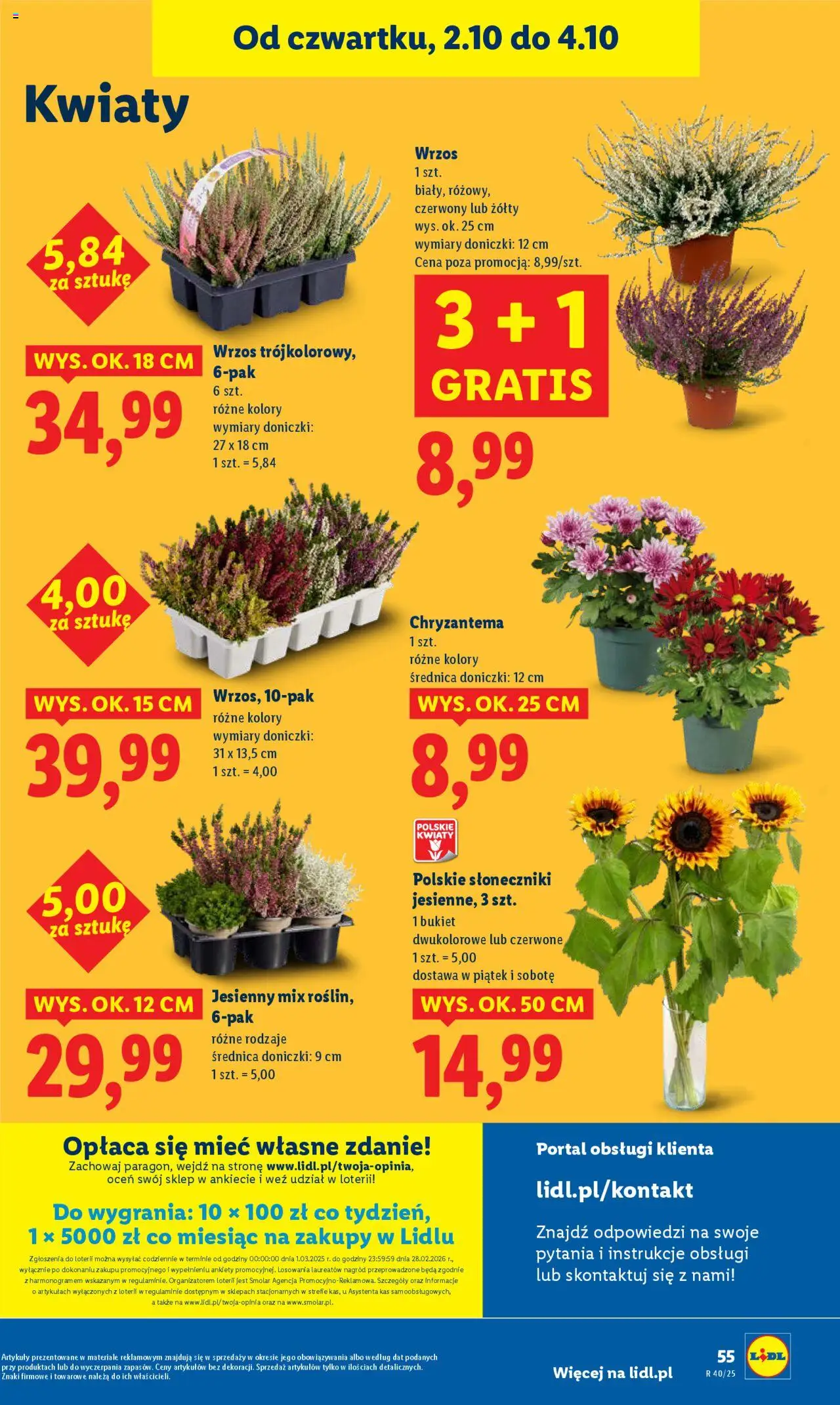 Lidl Gazetka od 02.10.2025 | Strona: 59 | Produkty: Wrzos, Doniczki, Kwiaty