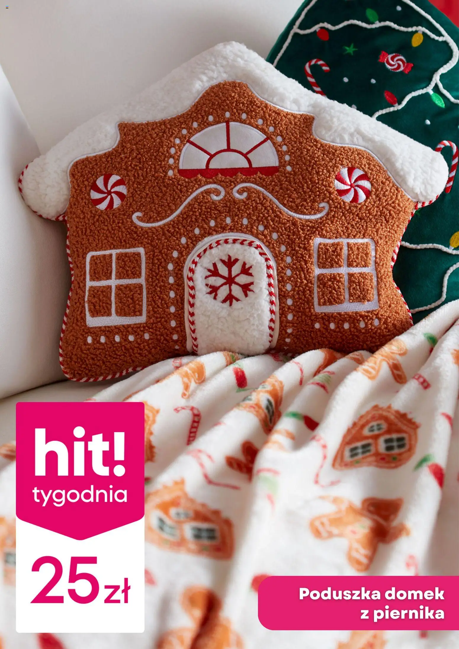 Pepco Gazetka od 20.11.2025 | Strona: 6 | Produkty: Poduszka