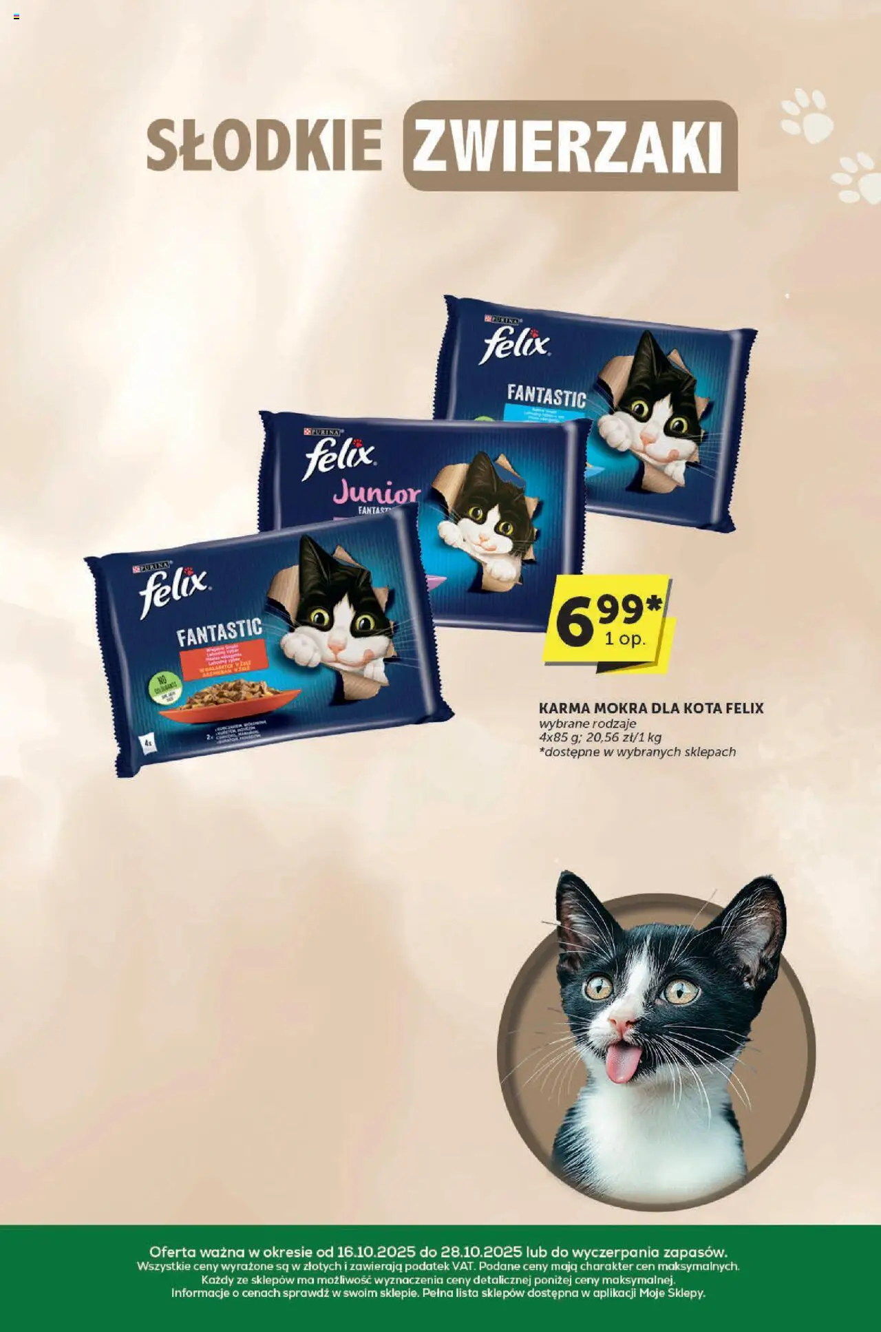 Euro Sklep Gazetka - Katalog od 16.10.2025 | Strona: 31 | Produkty: Karma mokra dla kota