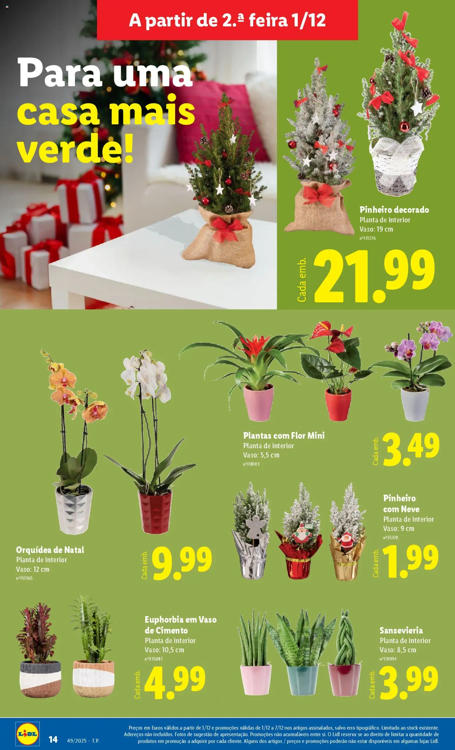 Lidl Novidades │ válido de 01.12.2025 | Página: 14 | Produtos: Cimento, Vaso