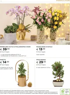 Anteprima del volantino Esselunga S Sotto l'Albero Roma catalogo valido a partire dal 13.11.2025 | Pagina: 39