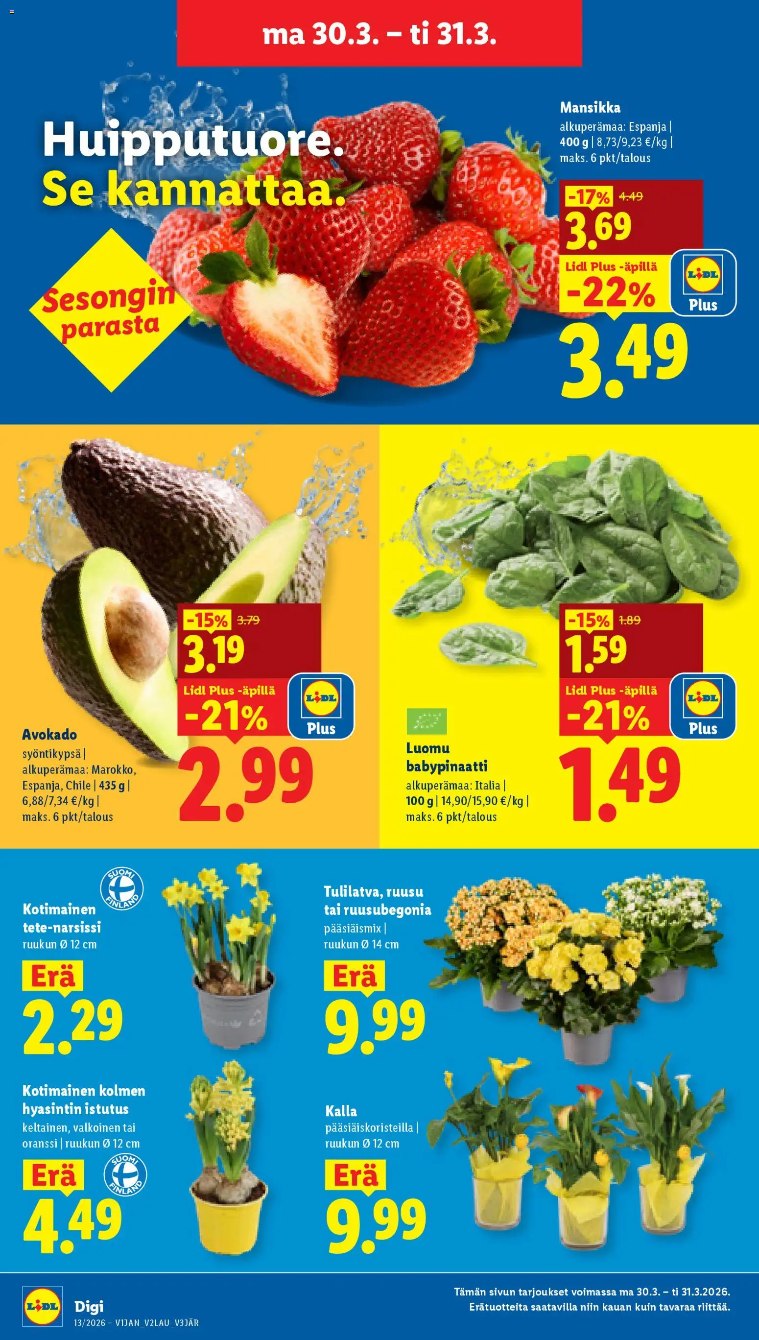 Lidl tarjoukset – voimassa 26.03.2026 alkaen | Sivu: 21 | Tuotteet: Avokado