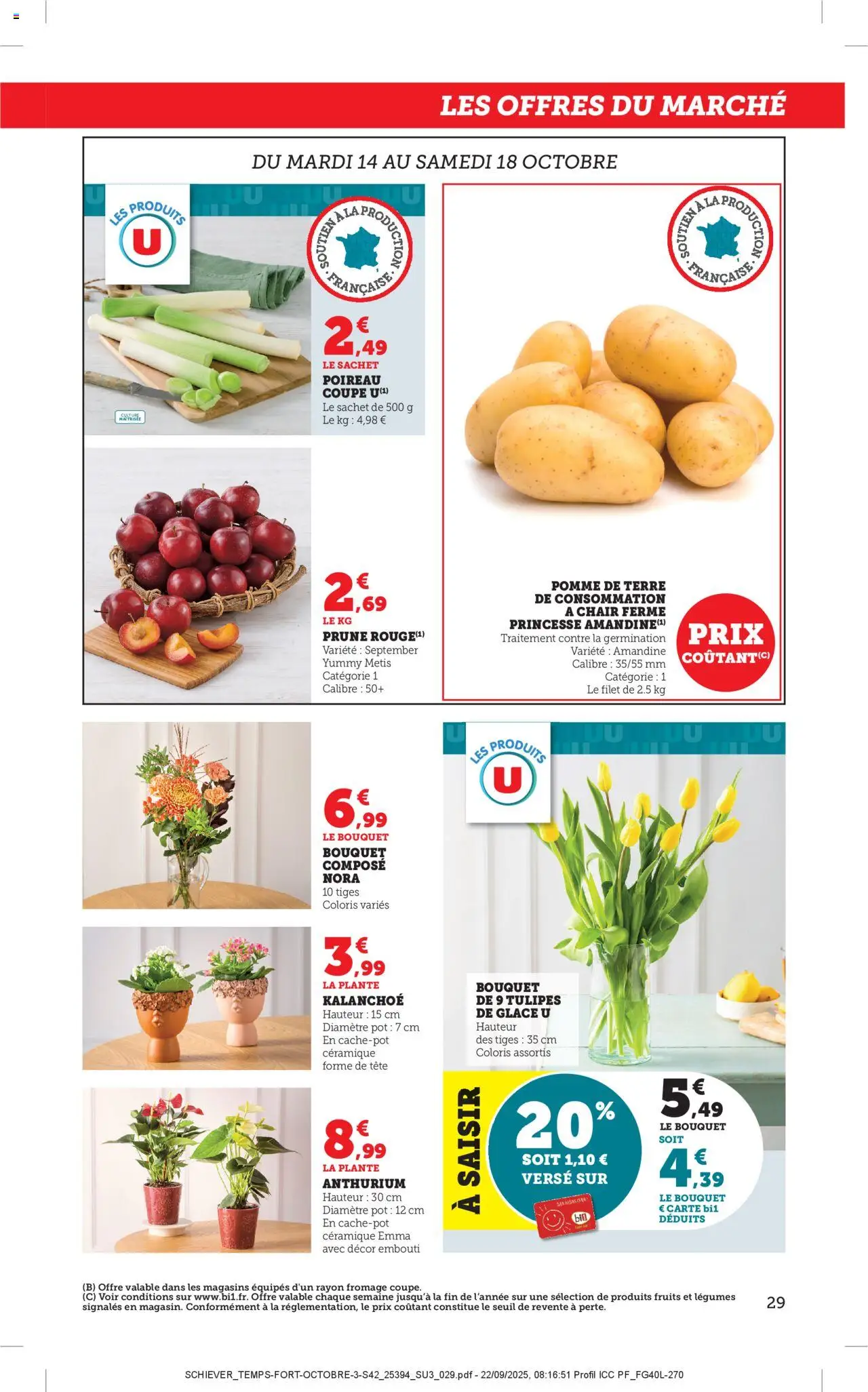 {H1} | Page: 29 | Produits: Poireau, Pomme de terre, Pomme de terre de consommation, Tulipes