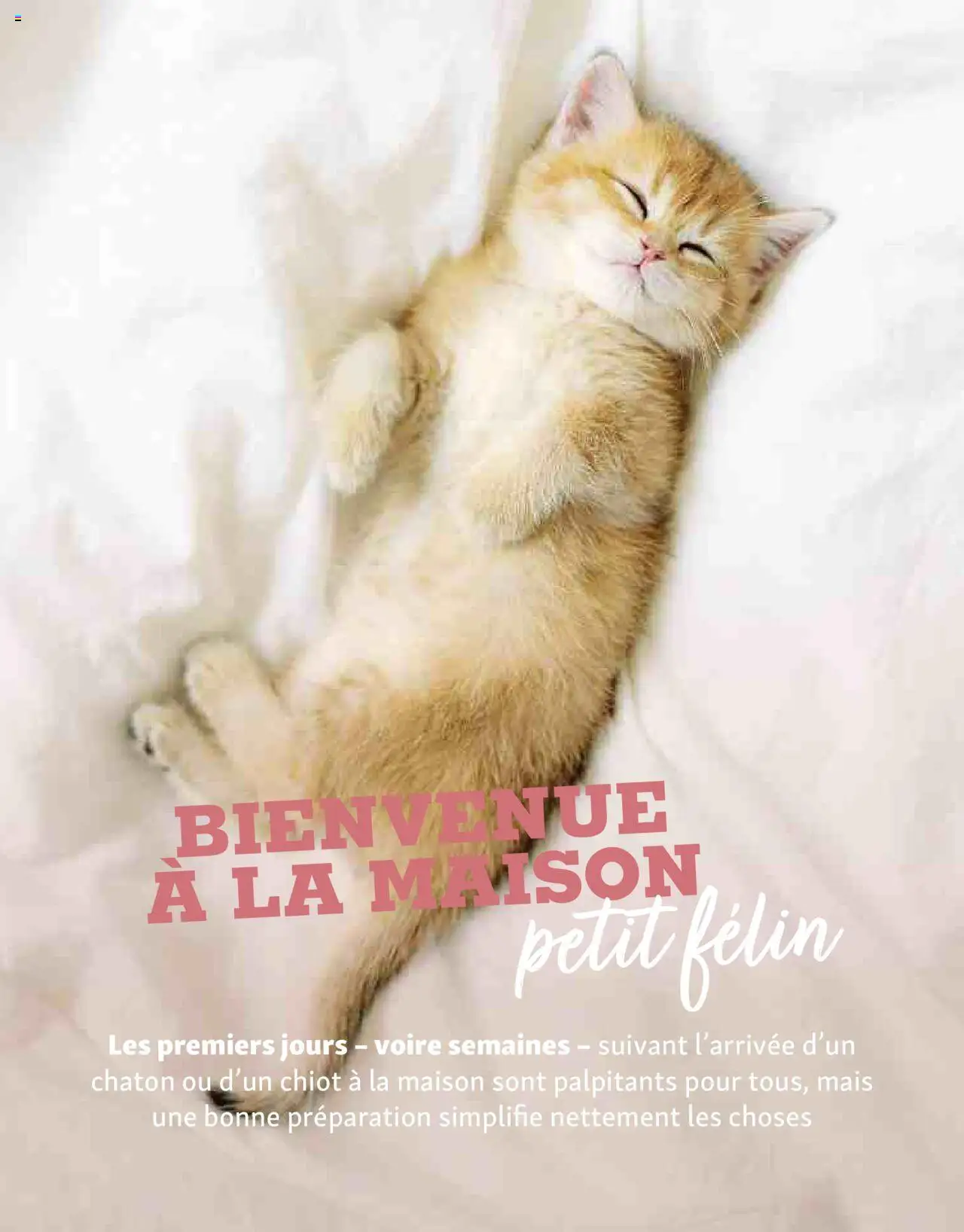  | Page: 16 | Produits: Mais