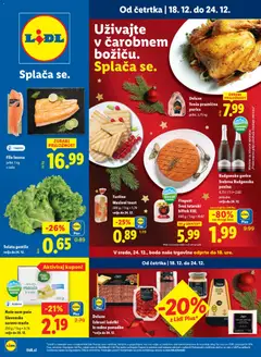 Lidl katalog akcije – veljaven od 18.12.2025