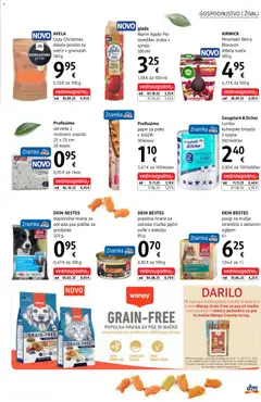 DM Drogerie Markt katalog akcije – veljaven od 01.12.2025 | Stran: 31