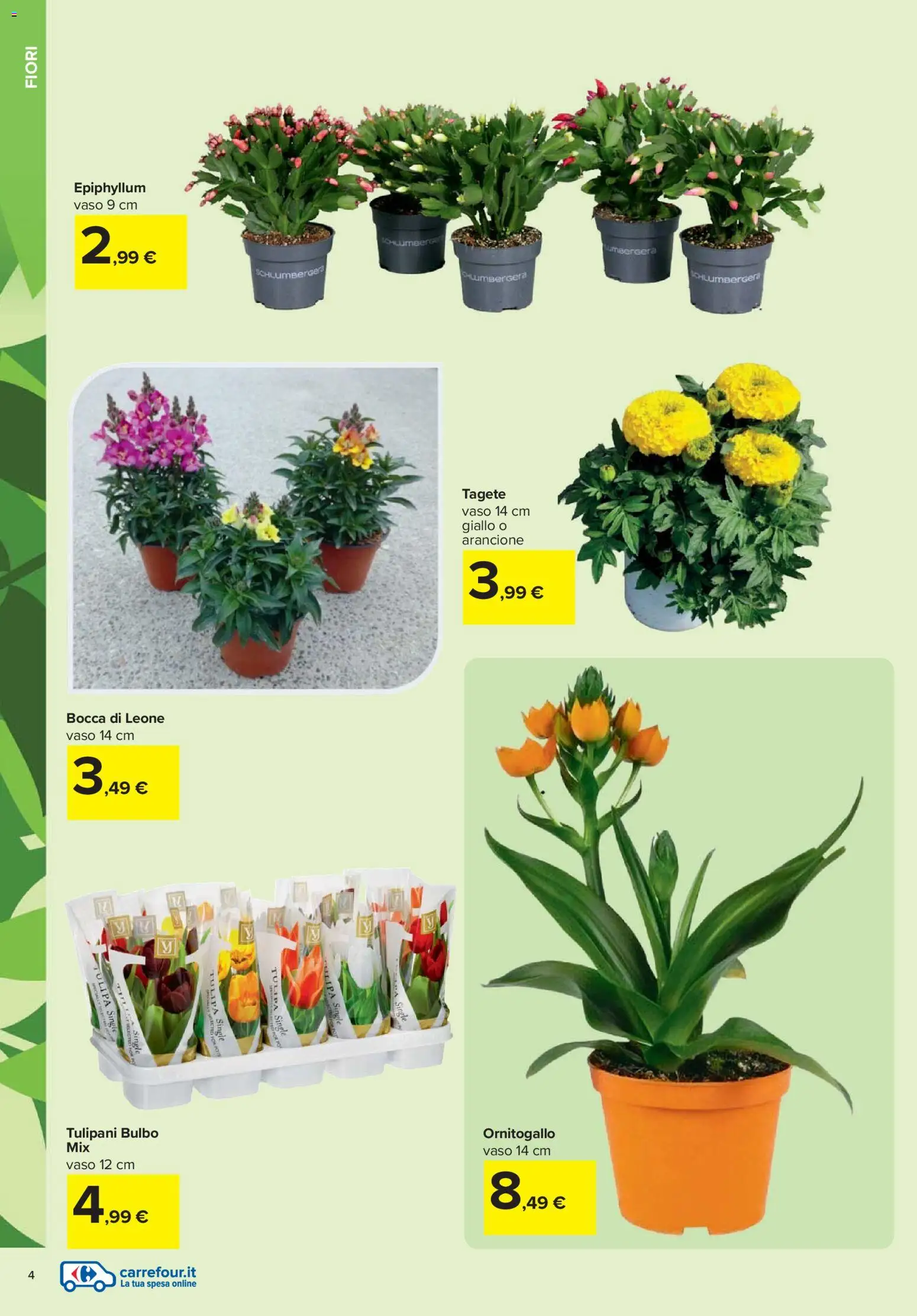 Volantino Carrefour del 19.02.2026 | Pagina: 4 | Prodotti: Vaso
