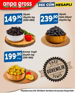 24.10.2025 tarihinden itibaren geçerli olan Anpa Gross kataloğu önizlemesi | Sayfa: 3