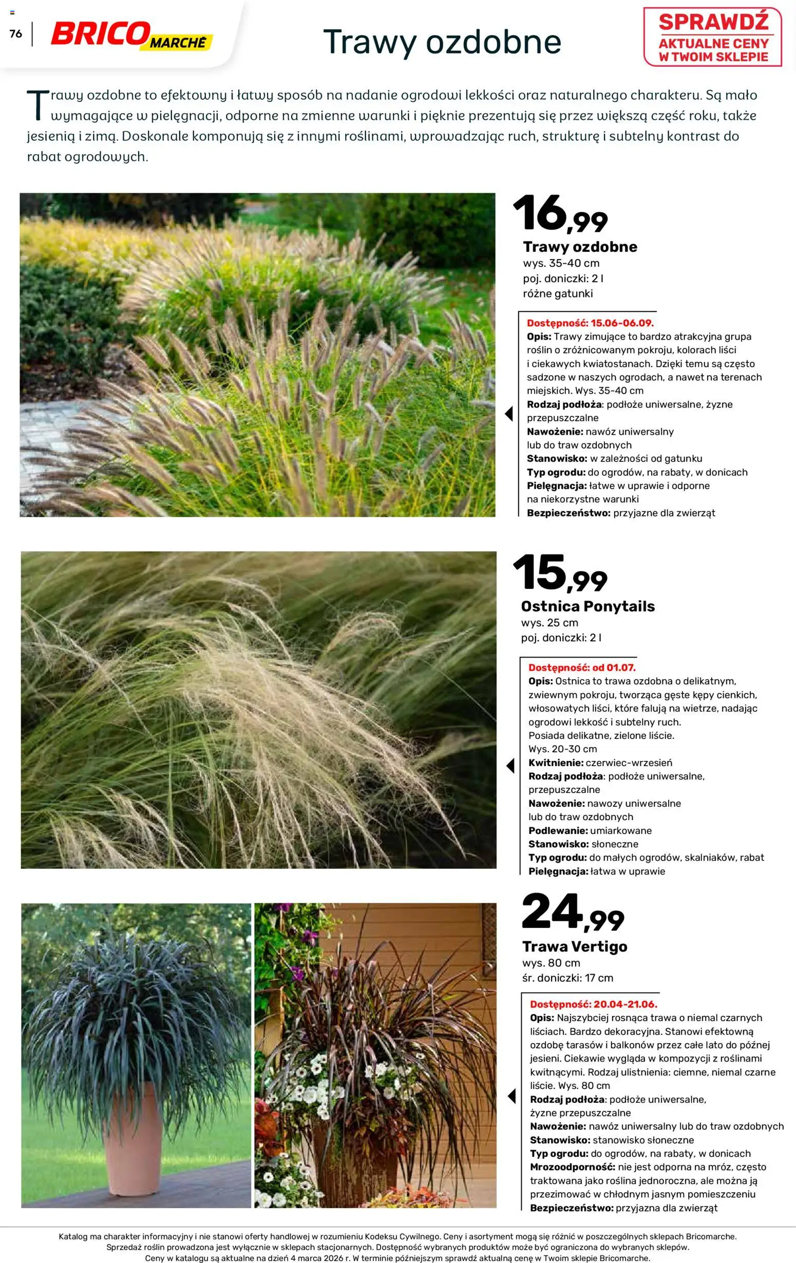 Brico Marché gazetka - Wiosna od 04.03.2026 | Strona: 76 | Produkty: Trawy, Doniczki