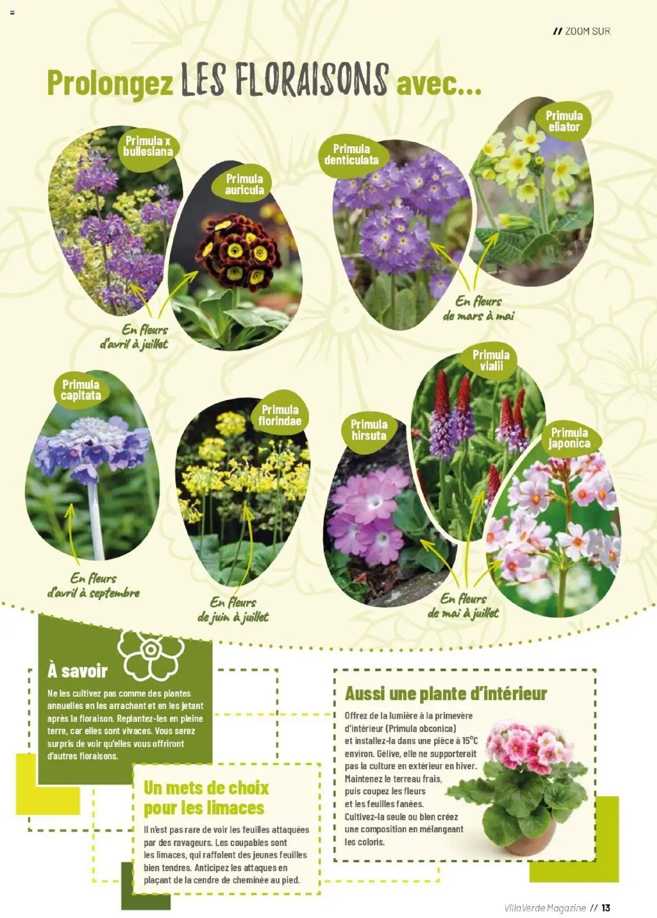  | Page: 13 | Produits: Plantes, Terreau, Magazine