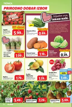 Katalog Plodine - Pregled kataloga iz trgovine Plodine, vrijedi od 18.03.2026 | Stranica: 24 | Proizvodi: Jagode, Kupus, Kruška, Rajčica