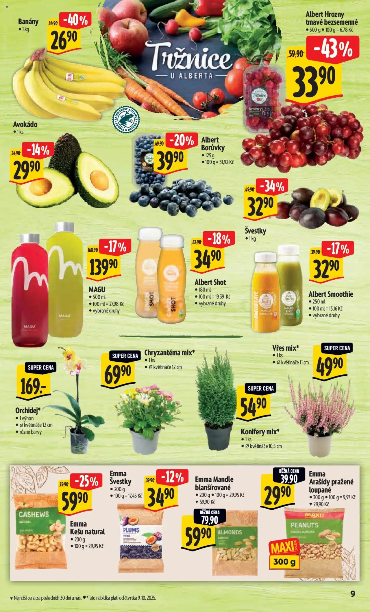 Albert leták - Hypermarket od 08.10.2025 | Strana: 14 | Produkty: Květináče, Borůvky, Avokádo, Barvy