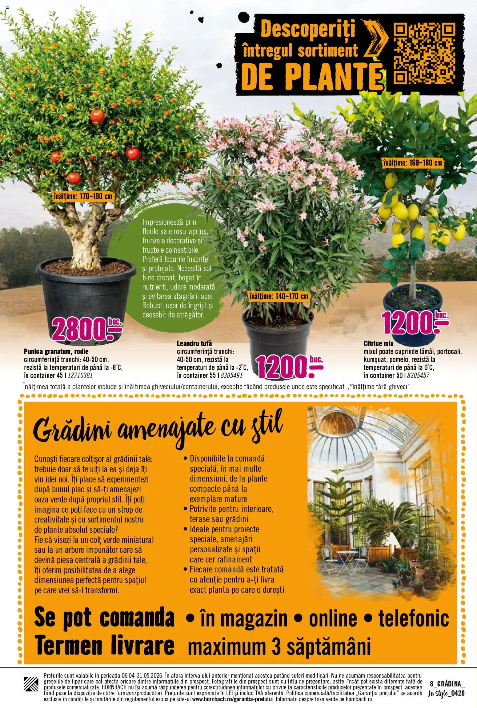 Noul catalog Hornbach – valabil de la 06.04.2026 | Pagină: 8 | Produse: Șal, Vin
