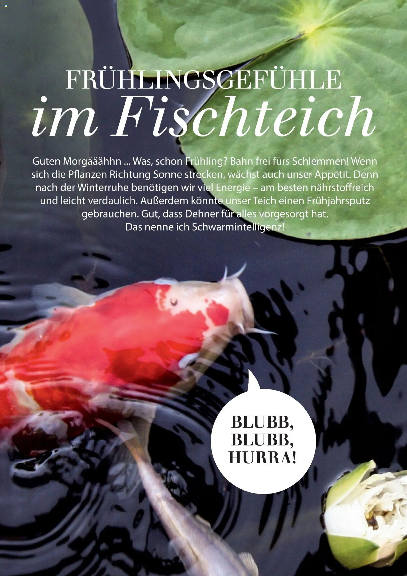 Dehner Flugblatt gültig ab 05.03.2026 | Seite: 90