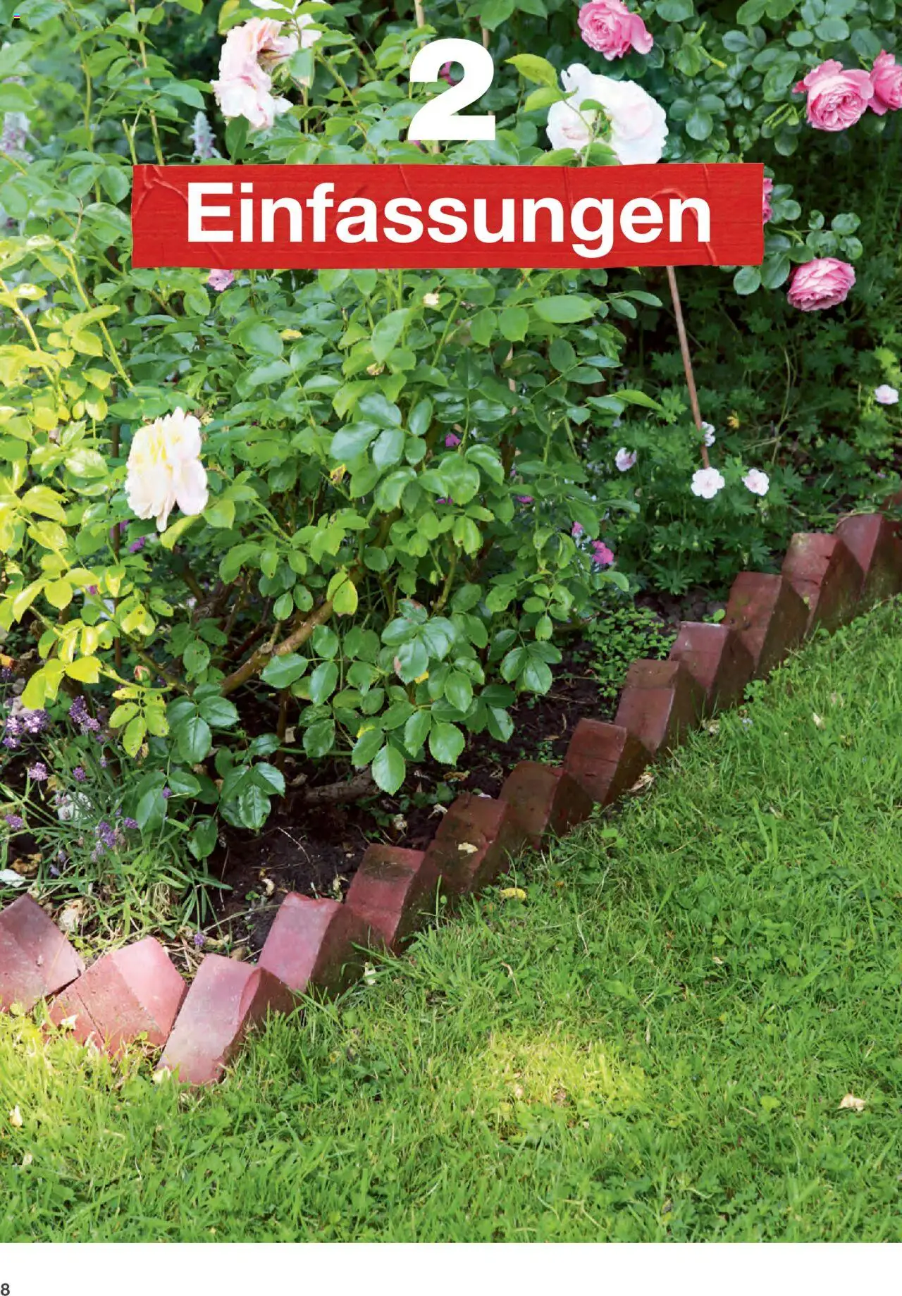 Toom Baumarkt Rasen anlegen und pflegen - gültig ab dem 01.01.2024 | Seite: 8