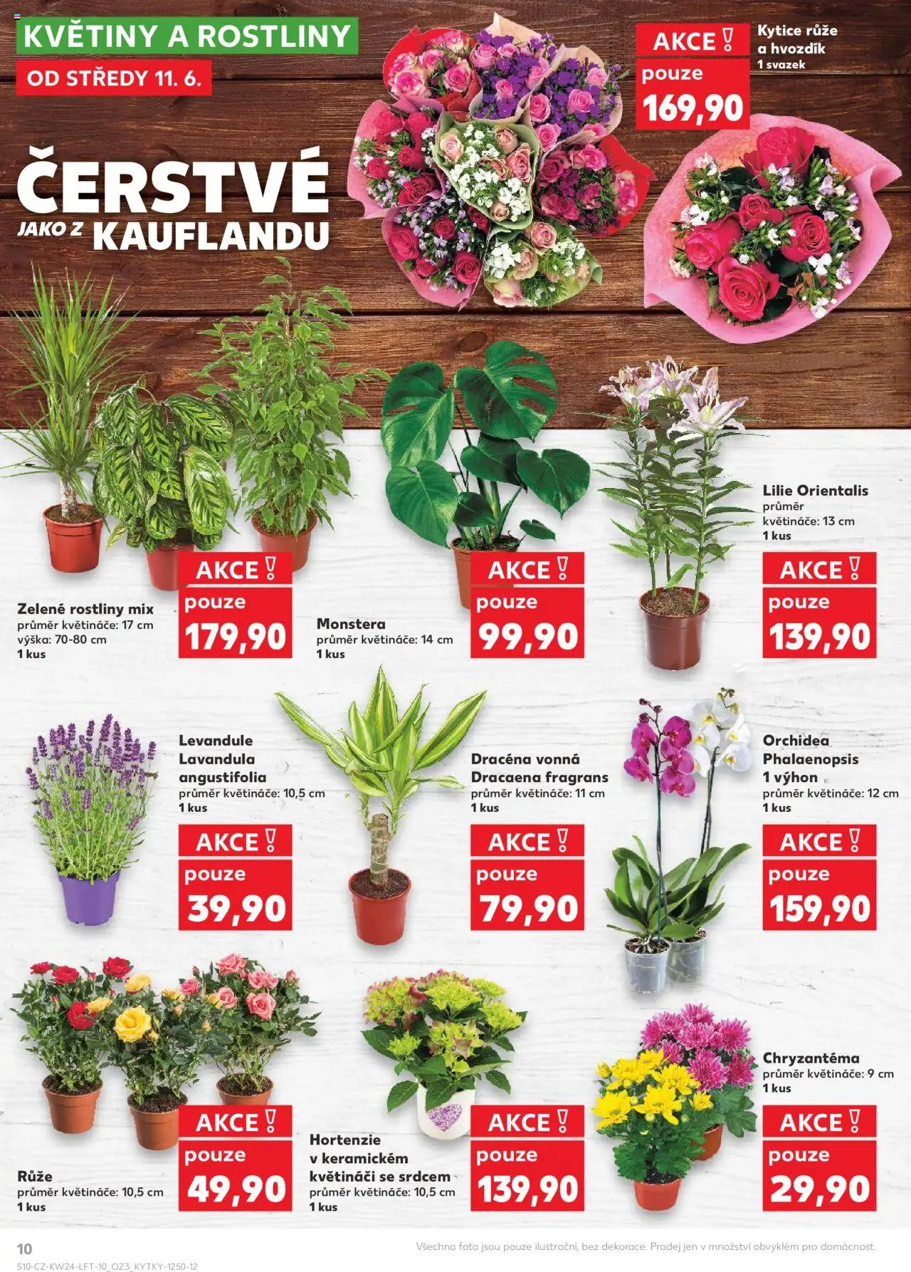 Kaufland leták od 11.06.2025 | Strana: 10 | Produkty: Monstera, Rostliny, Kytice, Květiny