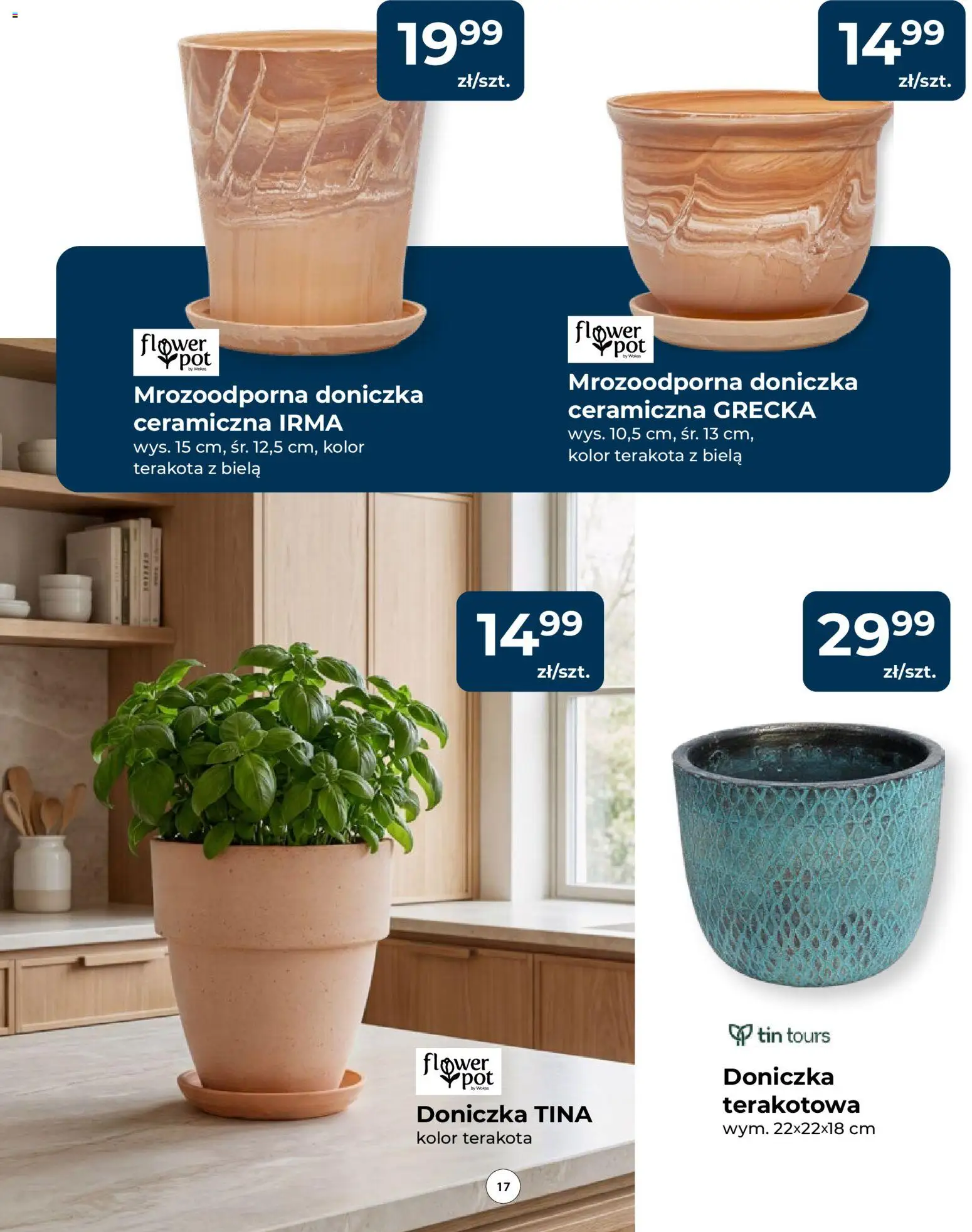 Mrówka gazetka od 23.04.2026 | Strona: 17 | Produkty: Doniczka