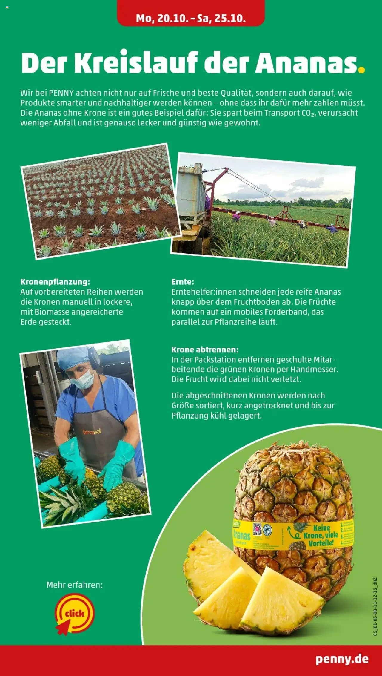 Penny - Mecklenburg-Vorpommern – gültig ab 20.10.2025 | Seite: 5 | Produkte: Ananas