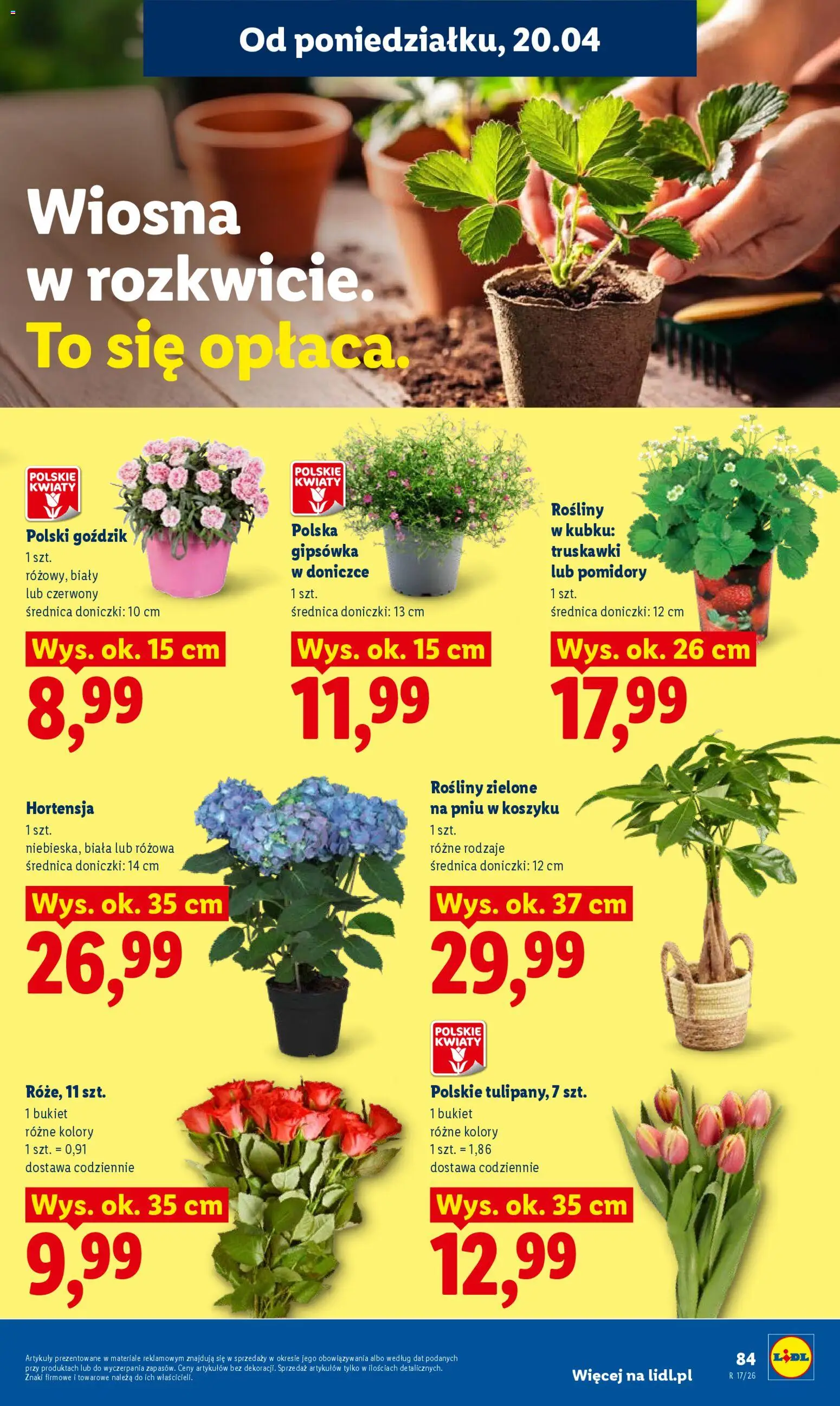 Lidl gazetka od 20.04.2026 | Strona: 87