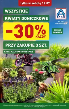 Pogląd oferty "Aldi Gazetka - Promocja kwiaty" - ważna od 12.07.2025