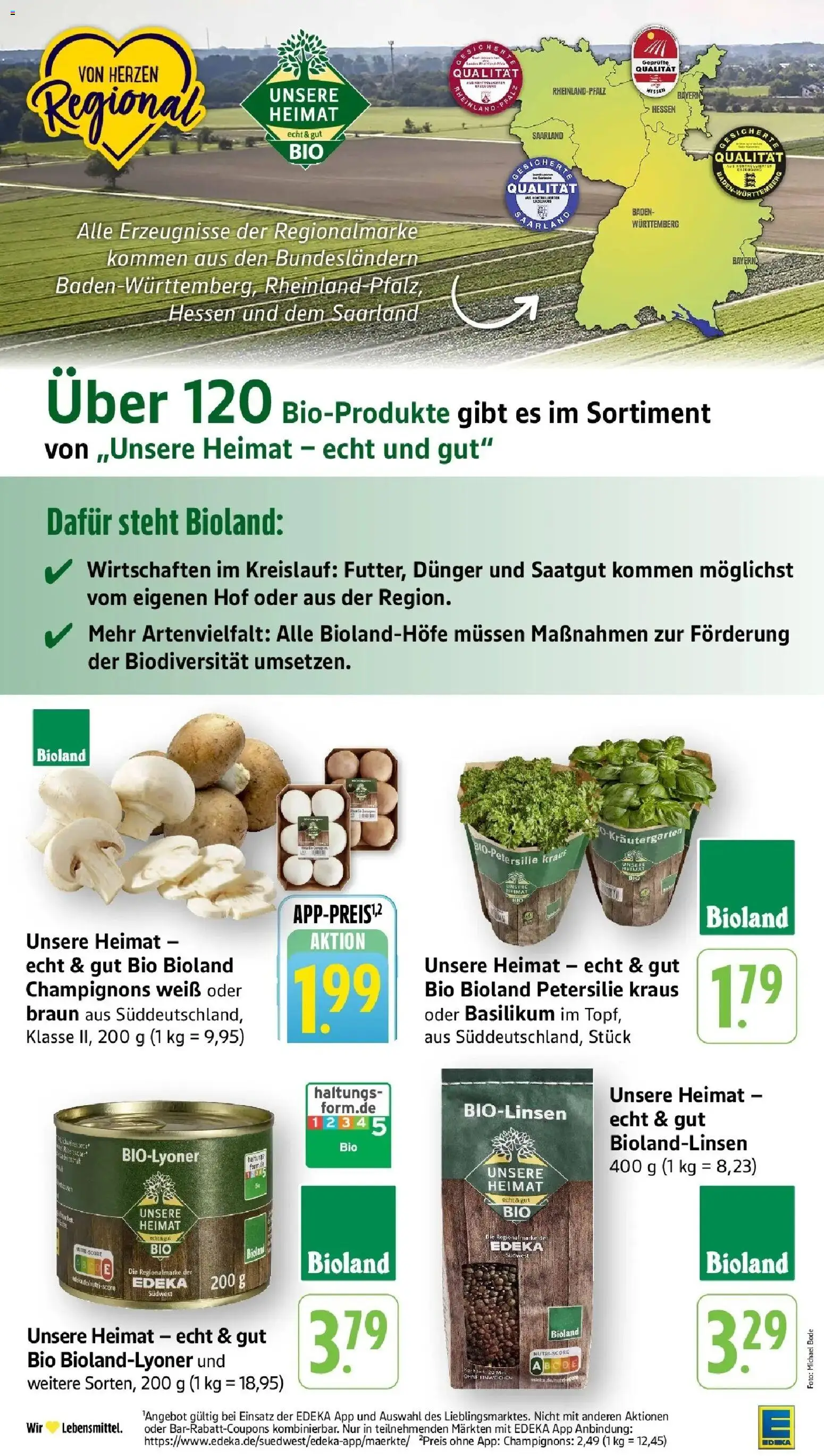 Edeka prospekt Steinfeld	 – gültig ab 09.03.2026 | Seite: 19 | Produkte: Champignons, Petersilie
