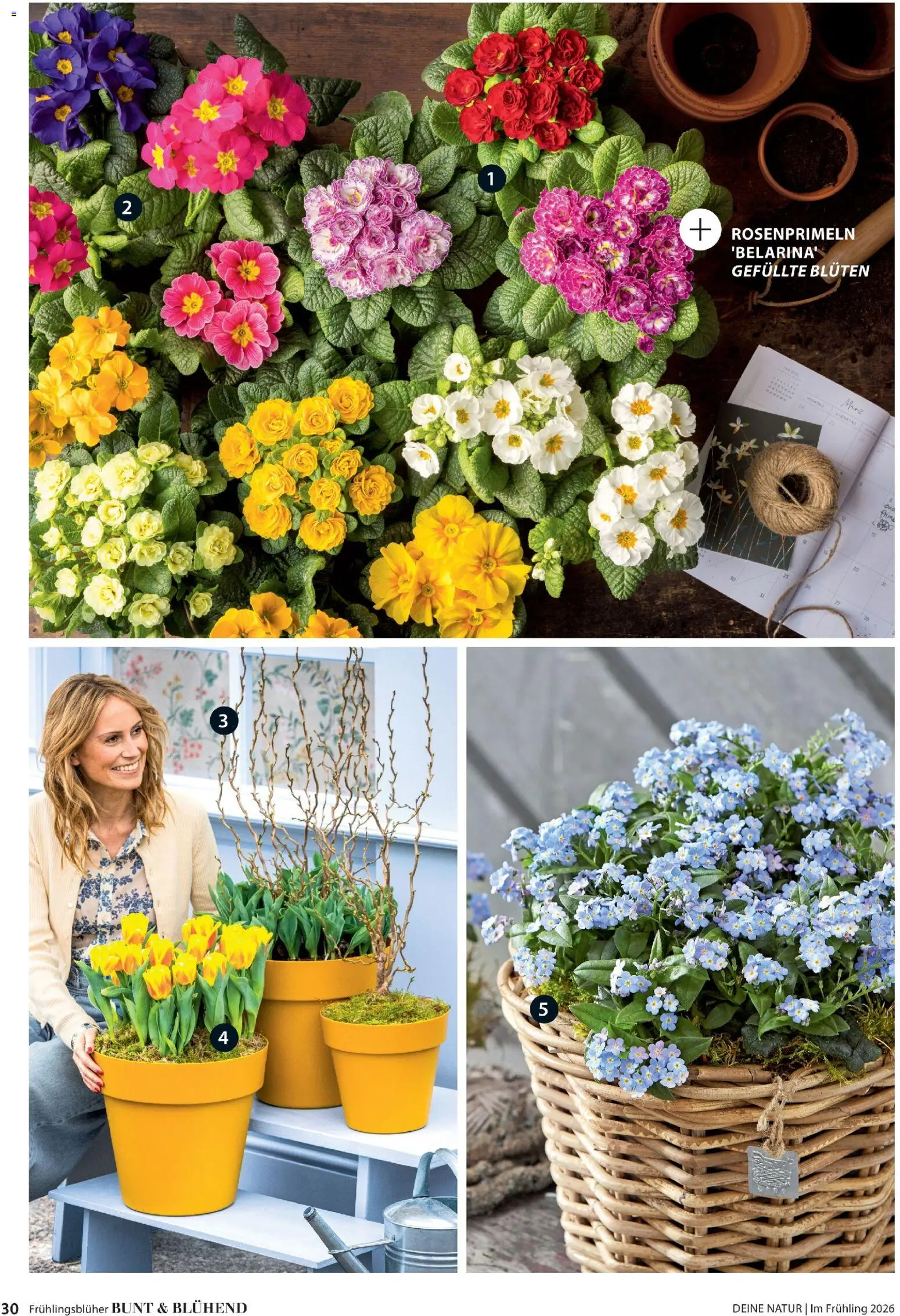 Dehner Flugblatt gültig ab 05.03.2026 | Seite: 30