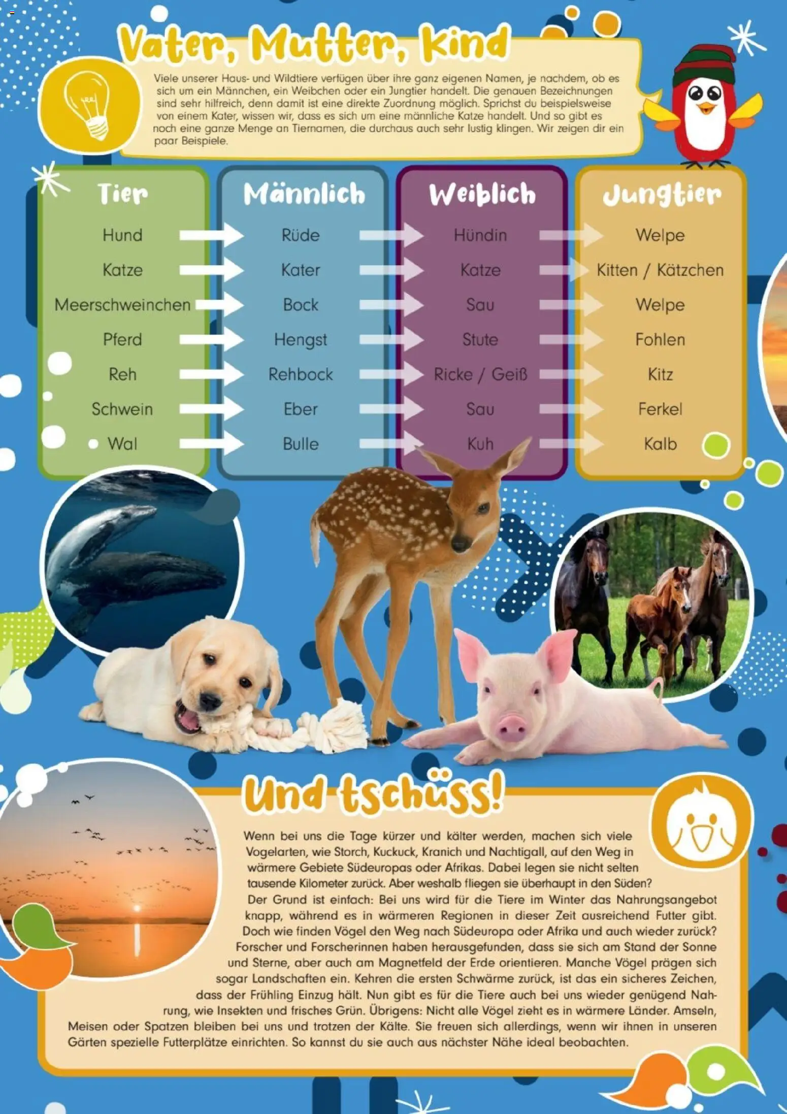 zookauf Kids – gültig ab 01.12.2025 | Seite: 3