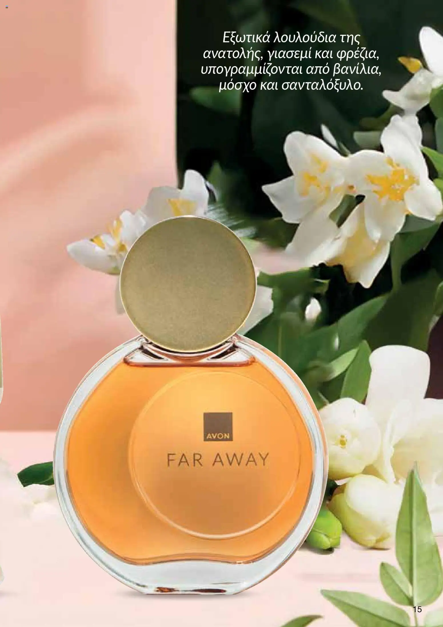AVON  – σε ισχύ από 27.04.2026 | Σελίδα: 13
