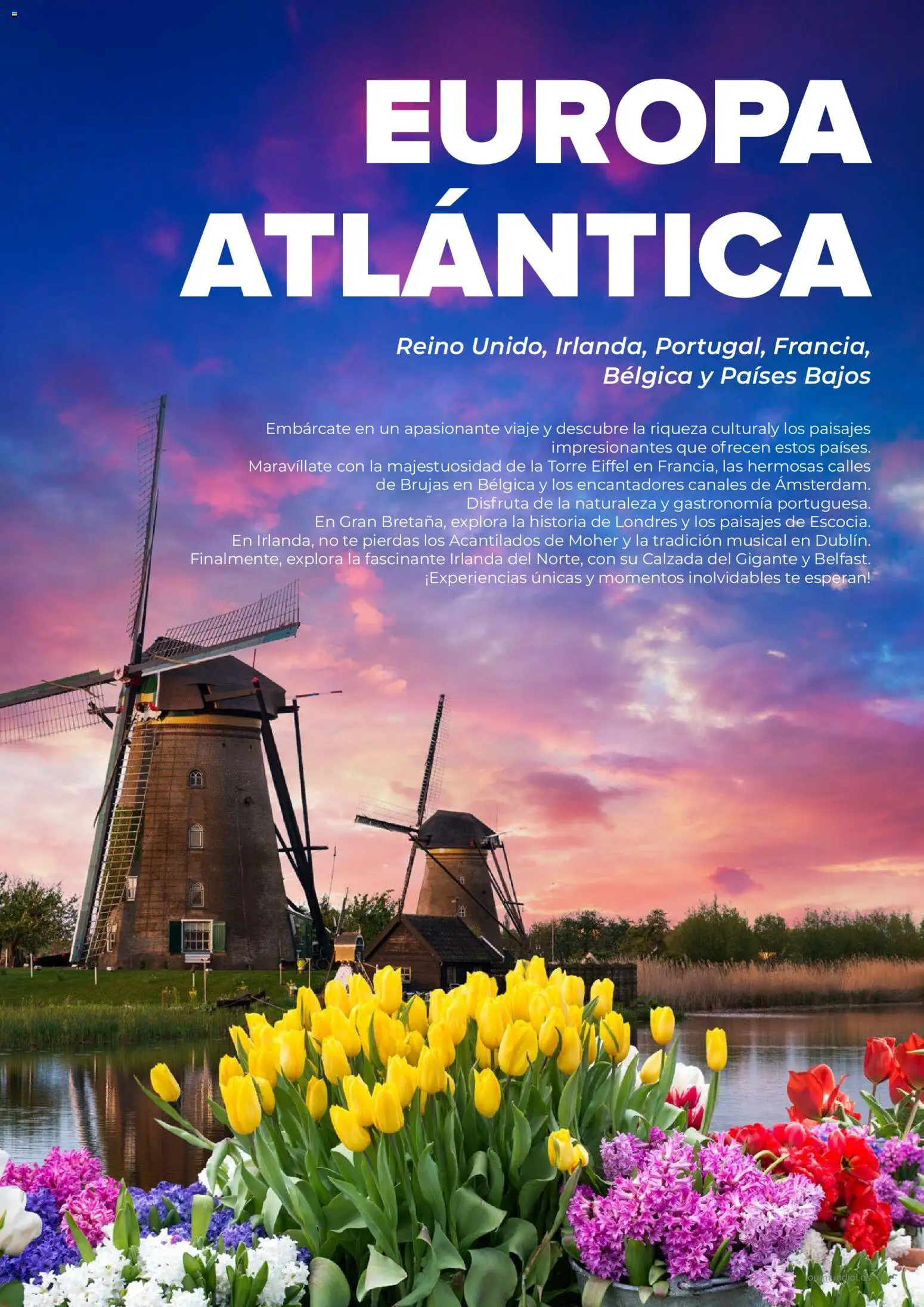 Viajes El Corte Inglés Europa │ válido desde el 01.01.2026 | Página: 37 | Productos: Té