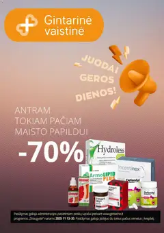 Gintarinė leidinys galioja nuo 13.11.2025