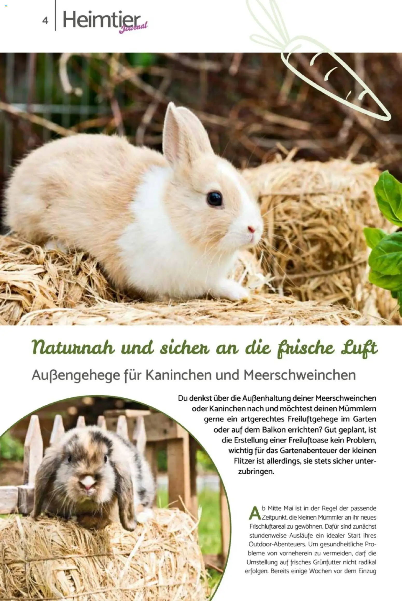 zookauf Heimtier Journal – gültig ab 01.04.2026 | Seite: 4 | Produkte: Kaninchen