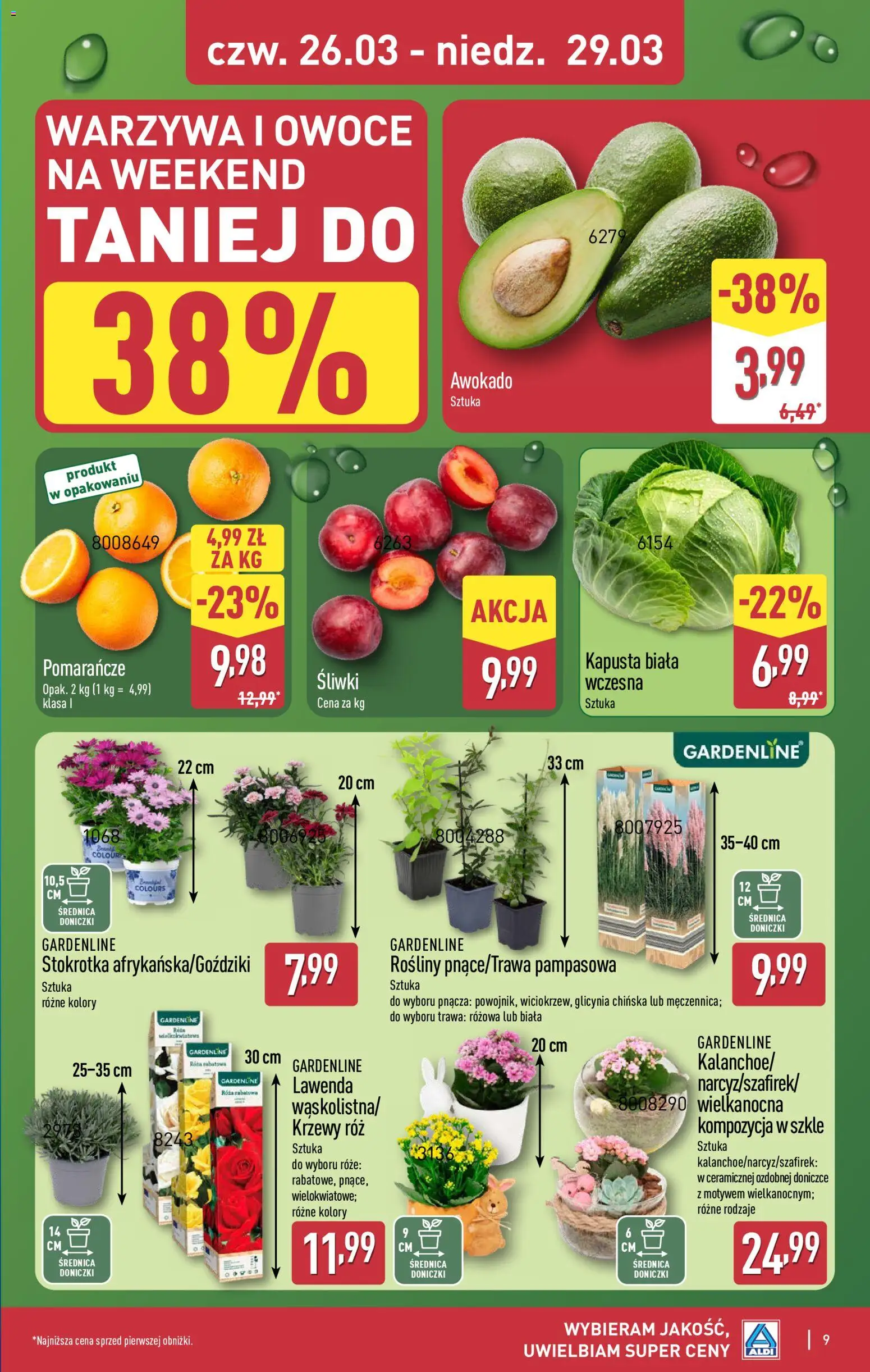 Aldi Polsko leták - Oferta weekendowa od 26.03.2026 | Strana: 9 | Produkty: Kalanchoe, Kapusta