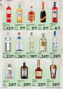 Selgros Feinkost Ostern ab 19.02.2026 gültig | Seite: 35 | Produkte: Martini, Ariel, Vodka, Gin