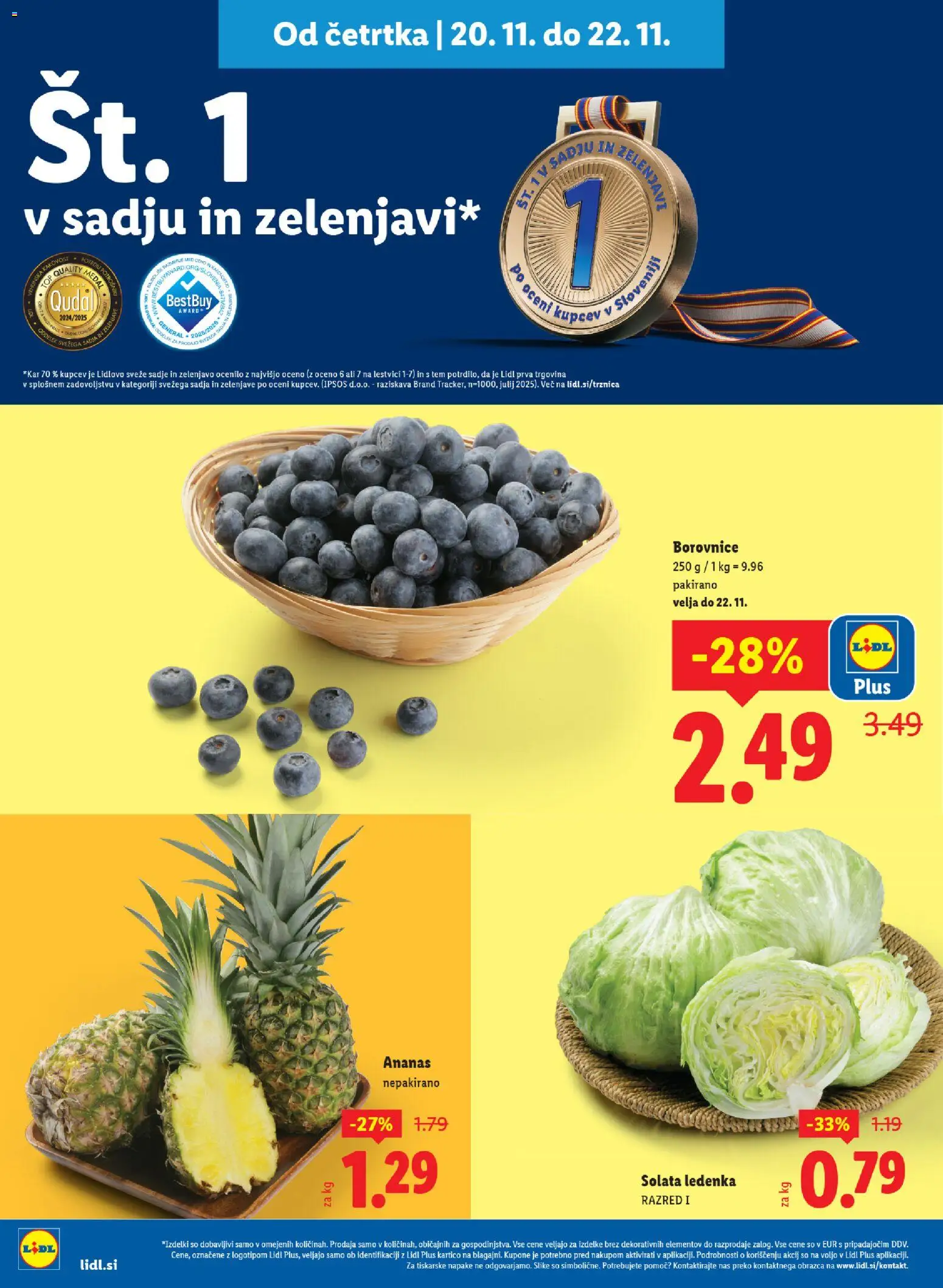 Novi Lidl katalog ponudbe – veljaven od 24.11.2025 | Stran: 4 | Izdelki: Borovnice, Ananas, Solata, Sadje