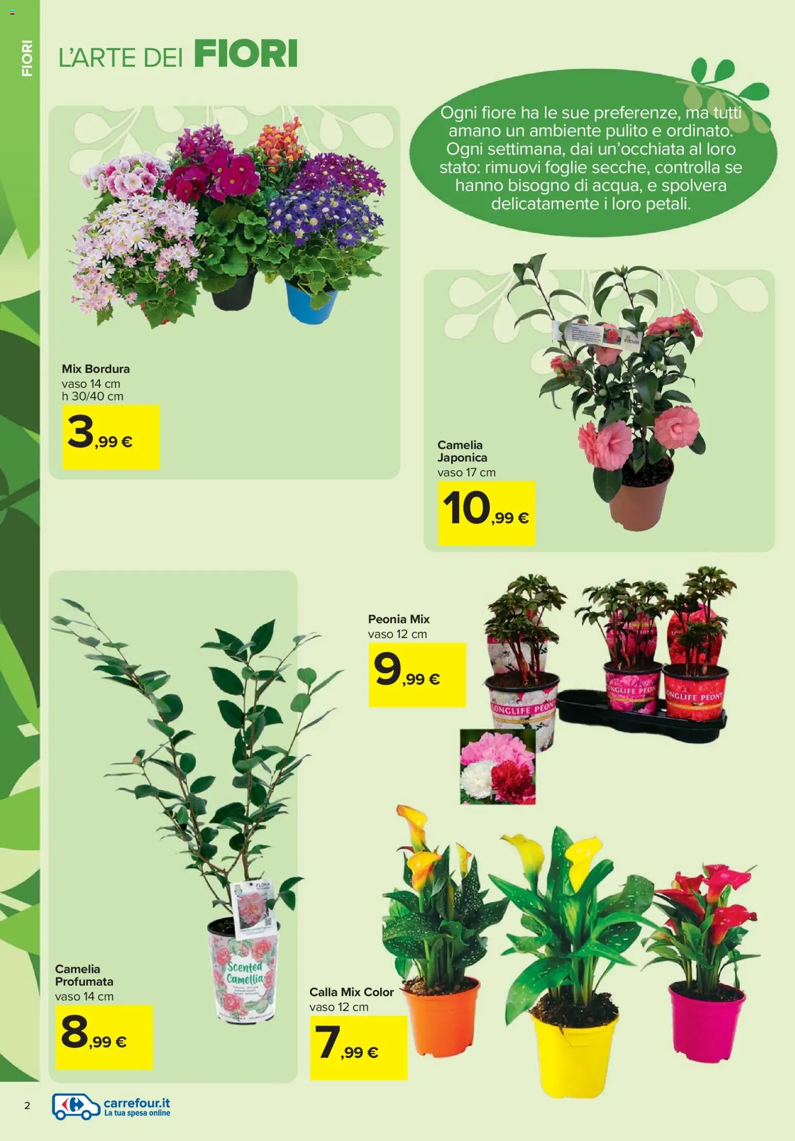 Volantino Carrefour del 19.02.2026 | Pagina: 2 | Prodotti: Vaso
