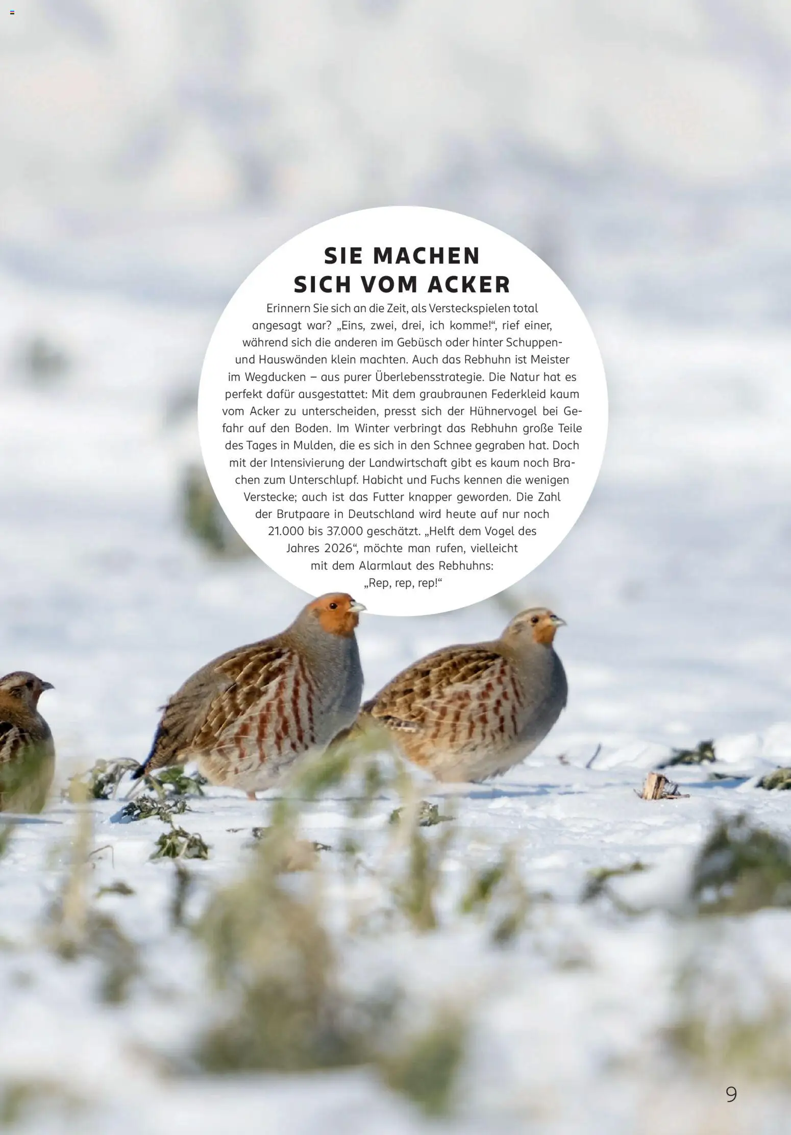 Rossmann Centaur – gültig ab 01.01.2026 | Seite: 9