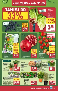 Aldi Gazetka od 26.05.2025 | Strona: 29 | Produkty: Jeżyny, Rosliny, Mix sałat, Truskawki
