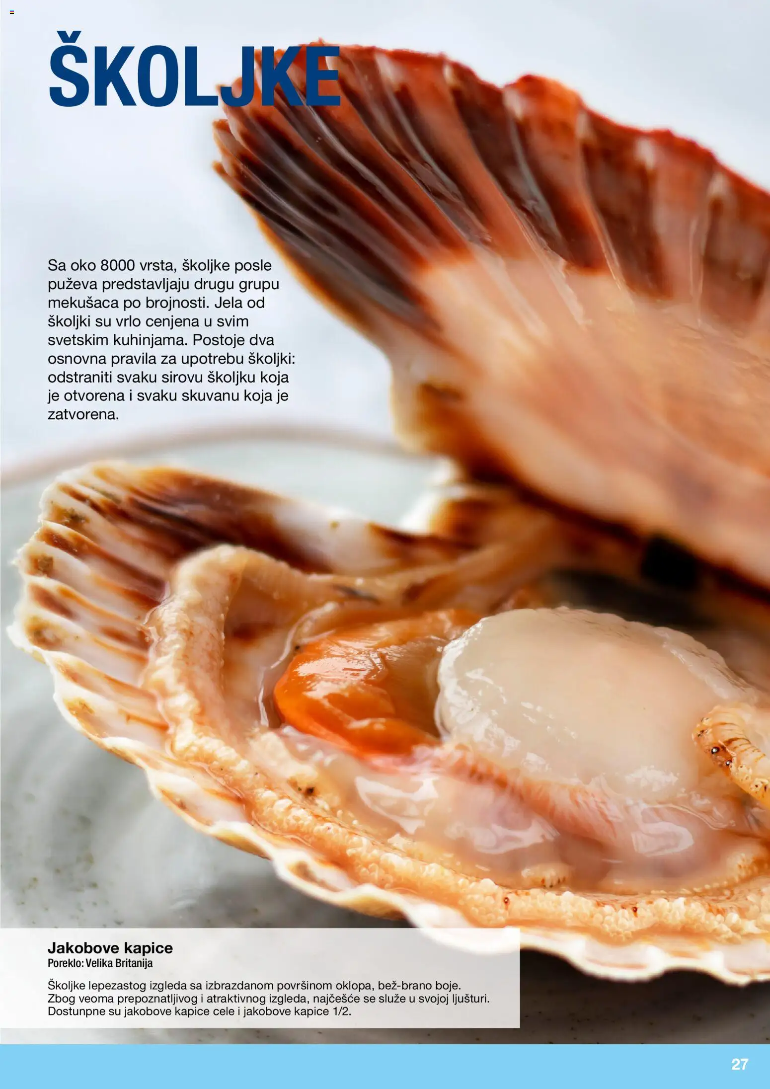 Metro katalog - važi od 10.12.2025 | Strana: 27