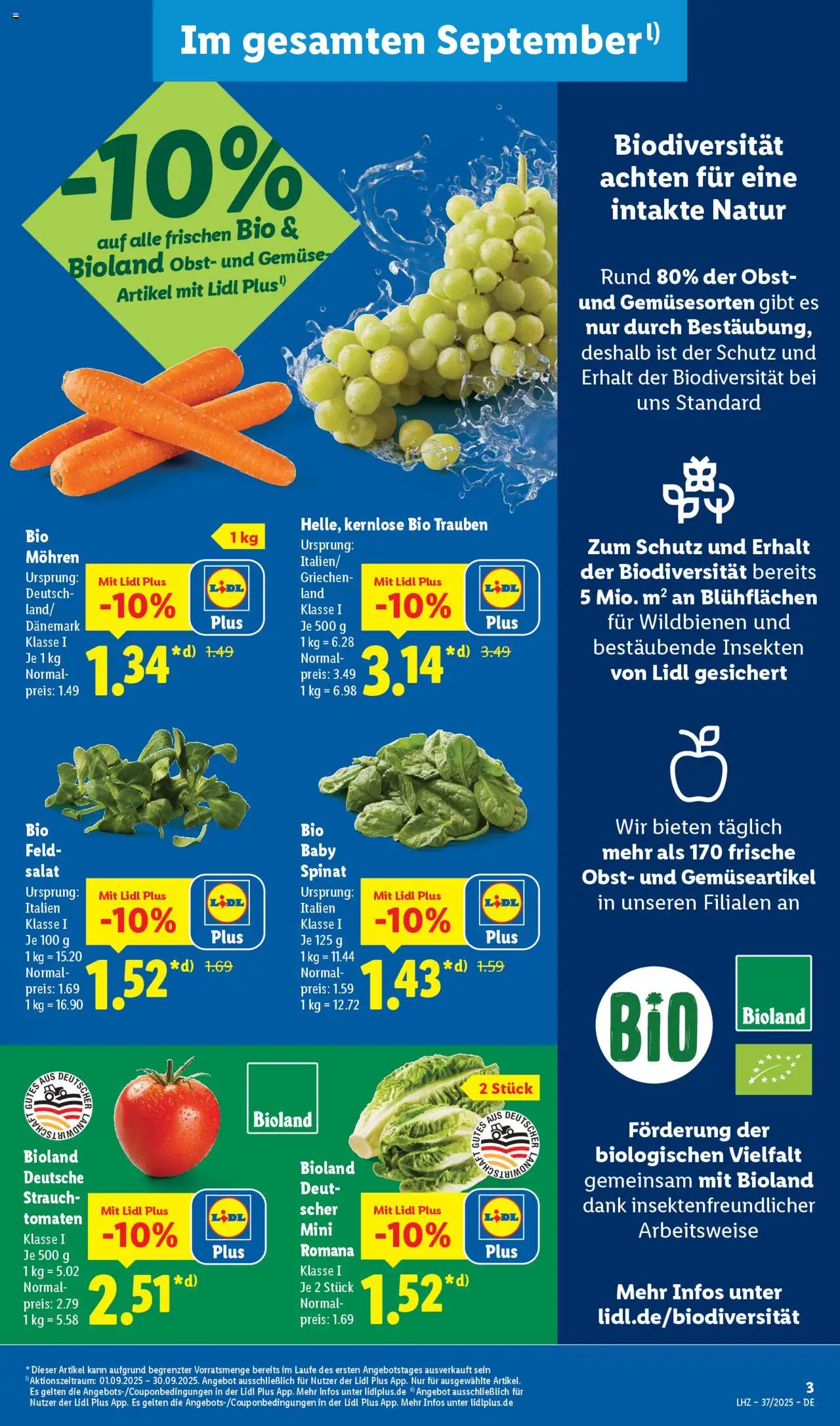 Lidl Prospekt Zossen 	 - gültig ab dem 08.09.2025 | Seite: 3 | Produkte: Trauben, Tomaten, Mohren, Obst