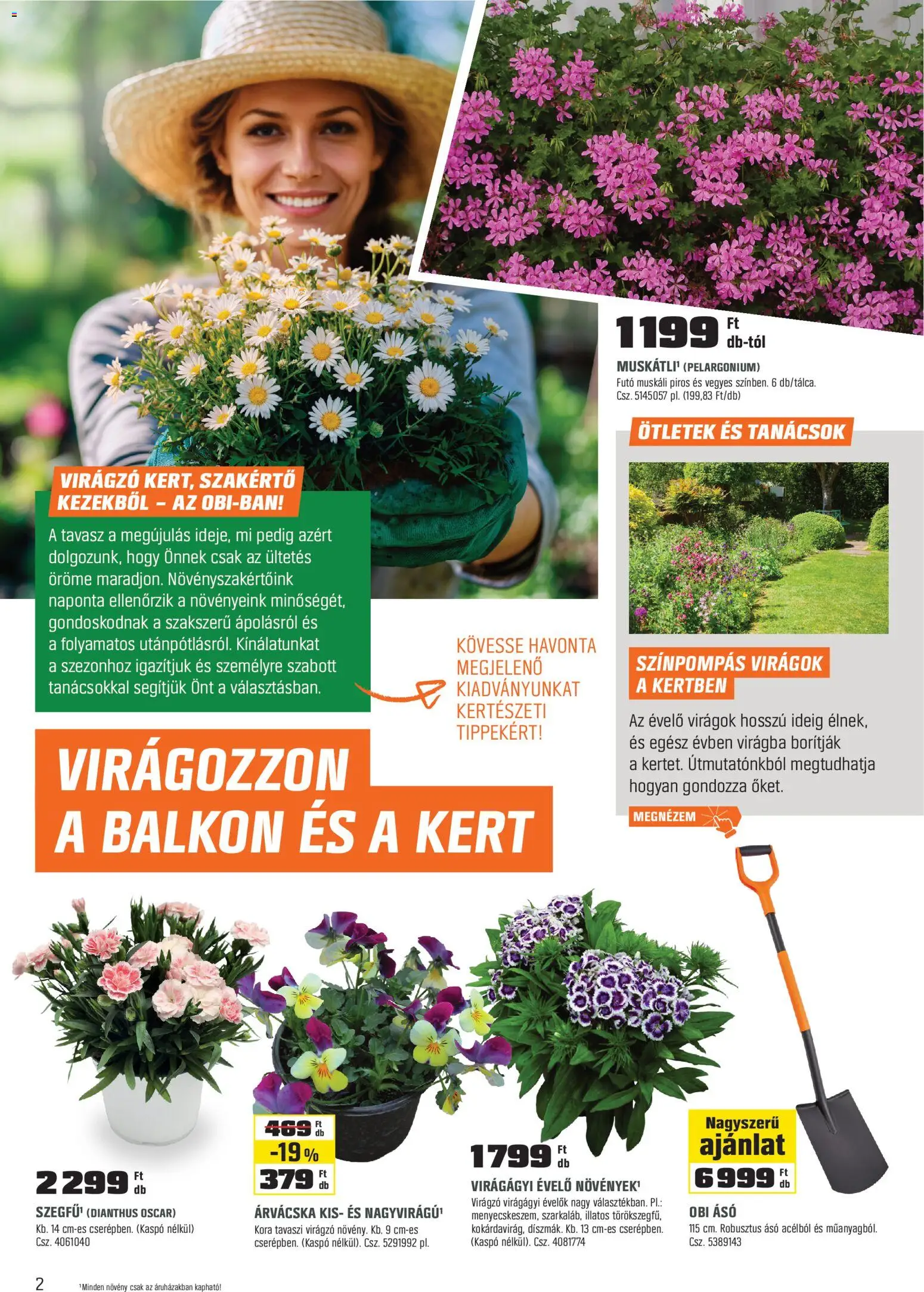 OBI akciós ujság - amely érvényes a következő dátumtól: 02.03.2026 | Oldal: 2 | Termékek: Virágok, Árvácska, Kaspó