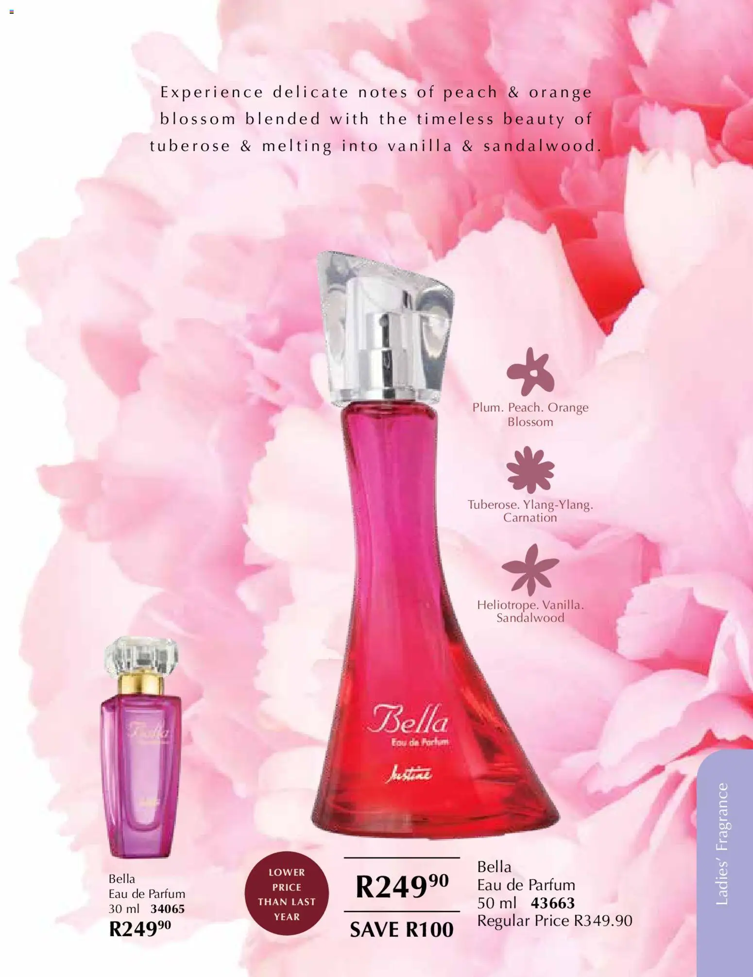 New Justine catalogue – valid from 01.11.2025 | Page: 54