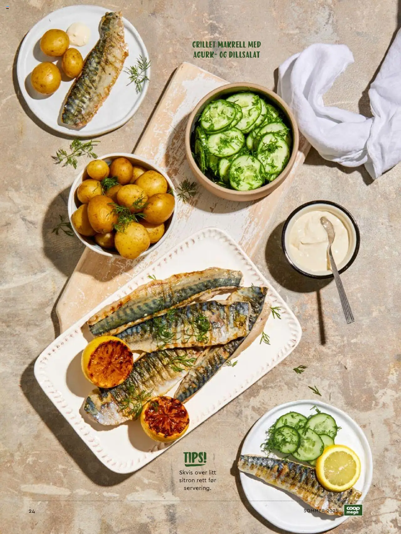  | Side: 24 | Produkter: Сушильные машины, Agurk, Sitron, Rödkål