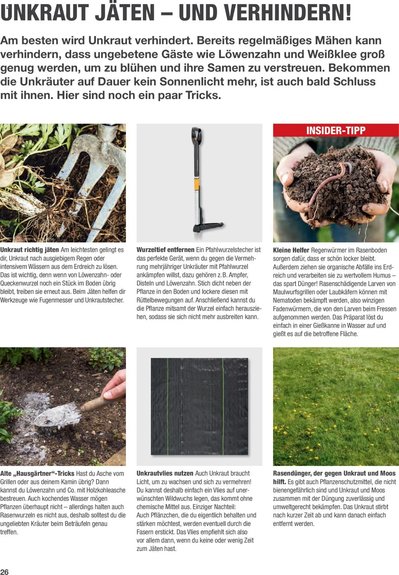 Toom Baumarkt Rasen anlegen und pflegen - gültig ab dem 01.01.2024 | Seite: 26 | Produkte: Kamin, Wasser