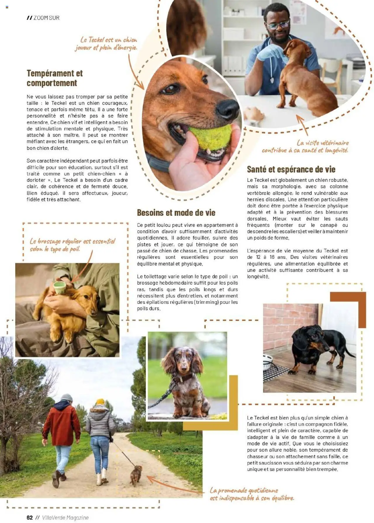  | Page: 62 | Produits: Saucisson, Joueur, Poids, Canapé