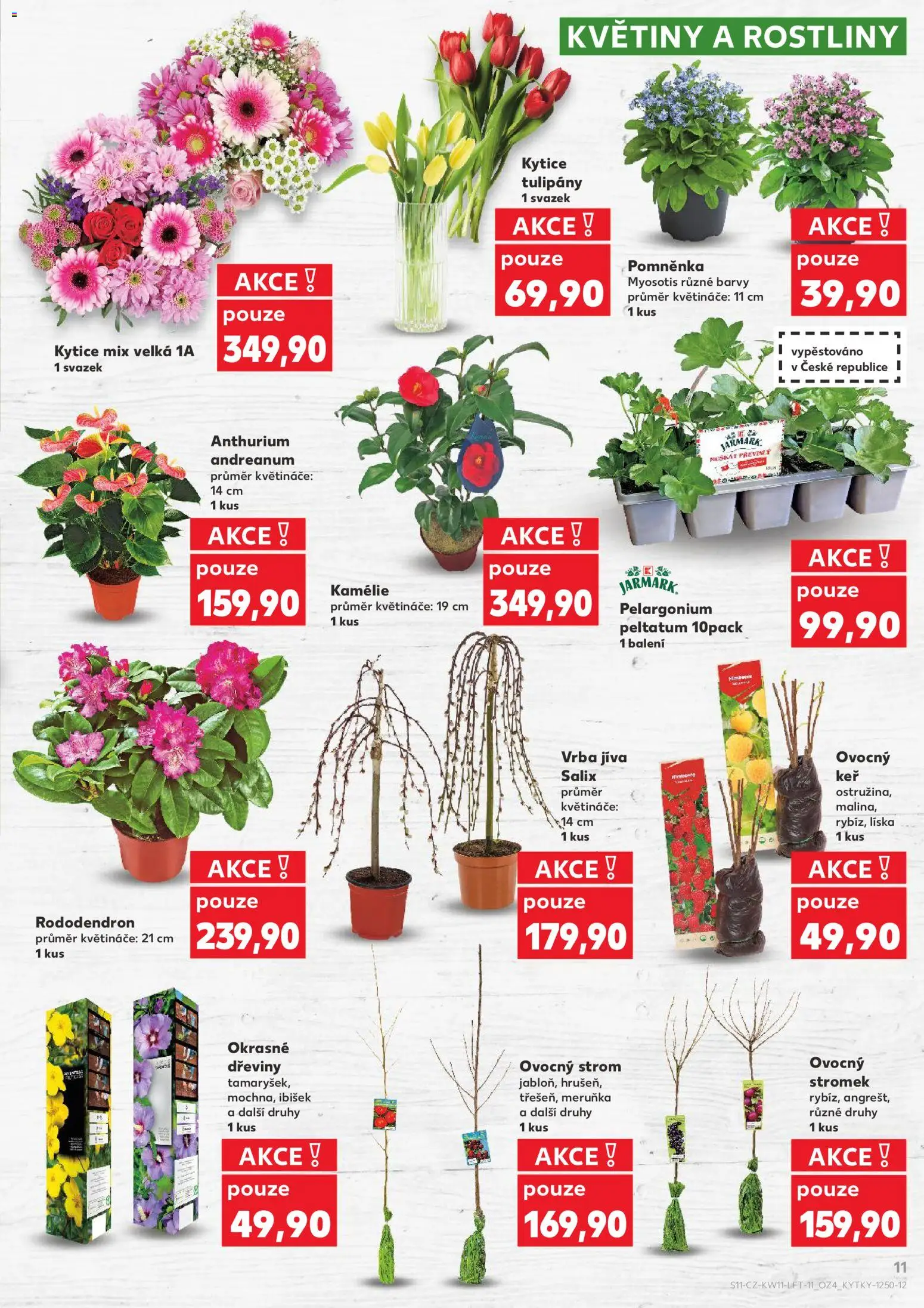 Kaufland leták od 11.03.2026 | Strana: 11 | Produkty: Květináče, Rostliny, Tulipány, Kytice