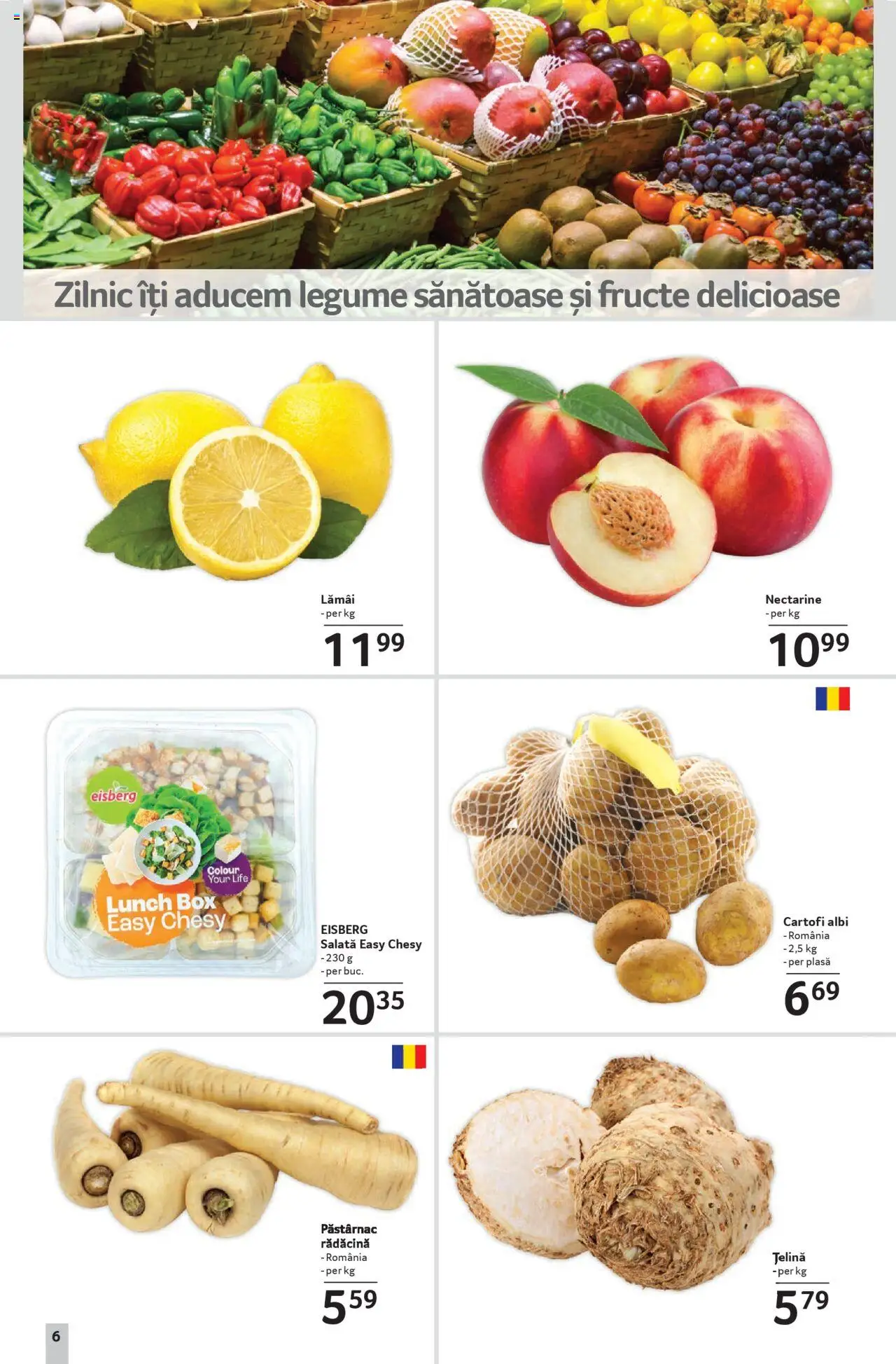 Catalog Selgros - Sibiu – valabil de la 08.08.2025 | Pagină: 6 | Produse: Temizlik kovası, Salată, Legume, Fructe